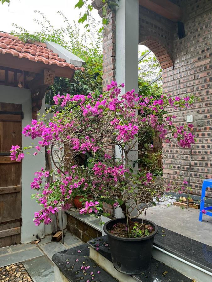Son Tay Duong Lam Village מראה חיצוני תמונה